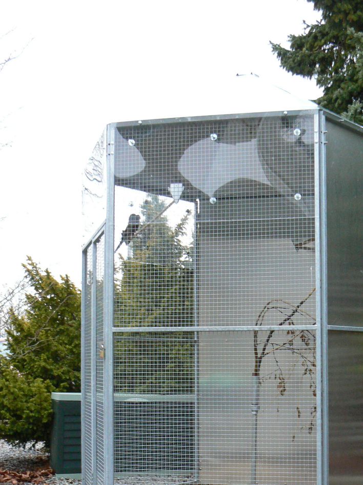 Her en 6-kantet voliere med 3 faste vægmoduler på bagsiden, og som på de 3 forreste netmoduler foroven er forsynet med acrylplader for at skabe yderligere læ for vind og vejr.