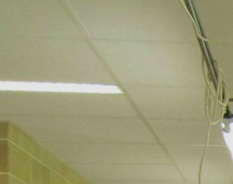 En række udvalgte fugle på verdens største internationale dværgpapegøjeudstilling, BVA Masters, i Aalst i Belgien studeres nærmere. Denne udstilling afholdes hvert efterår og har over 2.000 udstillingsnr. Det kræver nøje observationer og præcise notater at adskille de ypperste fugle inden for hver art fra hinanden. Desværre har denne udstilling også udviklet sig til et forum for udstilling af fugle, der absolut intet har med fugle - som de kendes i naturen - at gøre (og som de er beskrevet af videnskaben), bl.a. fordi der af specialforeninger er opstillet selvbestaltede standardbeskrivelser for fuglenes udseende, hvilket eksempelvis betyder, at der udstilles fugle med unaturligt store - degenerede - korpus og som følge af, at der helt ukritisk udstilles utallige fuldstændigt værdiløse transmutationer, hvis eksistens truer seriøse Agapornis-opdrætteres fremadrettede avlsarbejde
