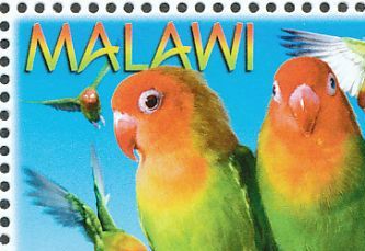 Malawi har udgivet hele 5 frimærker med motiver af den Jordbærhovedet dværgpapegøje (Agapornis lilianae), så sent som i 2009, hvor der blev udgivet en serie på 4 frimærker udelukkende med vellignende motiver af denne art
