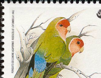 Angola, der er et af den Rosenhovedet dværgpapegøjes og underartens, Angola Rosenhovedet dværgpapegøjes (Agapornis r. roseicollis og catumbella) hjemlande har med nogle års mellemrum udgivet frimærker med denne fugl som motiv. Det første frimærke viste nominatformen, men i 1992 udgav Angola så en spændende samling på i alt 4 frimærker med motiver af underarten Angola Rosenhovedet dværgpapegøje (Agapornis r. catumbella), og ovenstående frimærke er et af disse 4 frimærker
