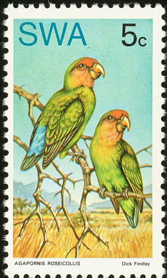 Landet Syd-Vest Afrika udgav for år tilbage dette ikke særlig vellignende frimærke af den Rosenhovedet dværgpapegøje (Agapornis r. roseicollis). Landet blev i 1884 en tysk koloni og kendt under navnet Tysk Syd-Vest Afrika helt frem til 1915. I forbindelse med 1. Verdenskrigs afslutning blev det ved international beslutning aftalt, at Sydafrika skulle administrere landet, men i 1966 besluttede FN, at Sydafrikas administration af landet skulle ophøre. Sydafrika fortsatte imidlertid anneksionen af territoriet i modstrid med det internationale samfunds ønsker. I år 1968 blev landets navn af FN ændret til Namibia, der er et af hjemlandene for denne art. Territoriet blev den 21. marts 1990 til den uafhængige ”Republic of Namibia”