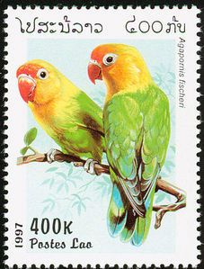 Den Rødhovedet dværgpapegøje (Agapornis fischeri) hører til på det afrikanske kontinent, men det har ikke afholdt det asiatiske land, Laos, fra at udgive et frimærke med vellignende motiver af denne art