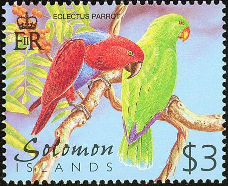 Her ses endnu et frimærke fra Solomon øerne med et par Ædelpapegøjer som motiv. Der kan næppe herske tvivl om, at der også her er tale om Solomon Ædelpapegøjen (Eclectus roratus solomonensis), selv om fuglenes haler retteligen burde være tegnet meget kortere. Solomon øerne var befolket allerede for ca. 5.000 år siden, og i 1568 ankom de første europæere i form af den spanske opdagelsesrejsende Alvaro de Mendana. Han opdagede guld på Guadalcanal, der indgår i Solomon øerne. Guadalcanal blev kendt under 2. Verdenskrig, da her foregik intense kampe mellem amerikanske og japanske styrker, herunder et af Stillehavskrigens afgørende slag. Mendana troede formentligt, at han havde fundet kilden til Kong Salomons miner, og han gav derfor øerne navnet Salomon øerne (Solomon øerne). Foranlediget af Mendana har mange af øerne, som udgør Solomon øerne, originale spanske navne