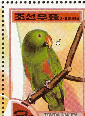The Democratic People's Republic of Korea – på dansk Nordkorea – der er et af verdens fattigste lande, og som ledes af en af verdens sidste diktatorer, Kim Jong-un, har i år 2000 udgivet to frimærker med Ædelpapegøjen som motiv (her en hanfugl), selv om fuglen ikke er naturligt hjemmehørende på Korea-halvøen. Hvorvidt det er udtryk for, at fuglen af visse nordkoreanere holdes i fangenskab skal være usagt, men det er næppe sandsynligt, da landet ikke engang kan brødføde sin egen befolkning. Forklaringen på udgivelsen skal nok snarere findes i den omstændighed, der fremgår af teksten under det næste frimærke med hunfuglen som motiv