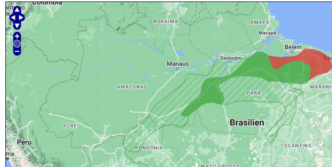 Map of distribution of the Golden Parakeet
Guaruba guarouba: This map from BirdLife Organization shows the current status of the spread of the Golden Parakeet in its home country, Brazil, and at the same time the map among other things indicates the area in which it has become extinct as a result of habitat destruction etc.