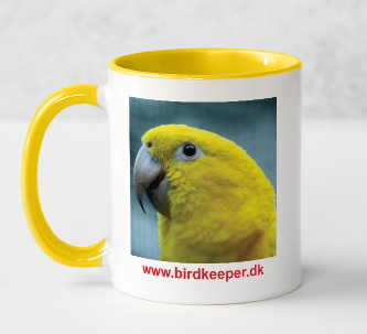 Photo 05:
Guaruba guarouba: When you are an irrepressible parrot enthusiast, you have to go crazy every now and then, and I have done that with e.g., have a mug made with a photo of a Golden Parakeet printed on it ... and as I say to my wife, the coffee and tea simply taste even better from this mug.