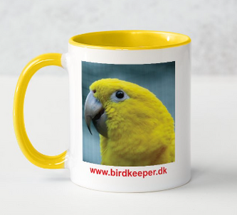 Photo 05:
Guaruba guarouba: When you are an irrepressible parrot enthusiast, you have to go crazy every now and then, and I have done that with e.g., have a mug made with a photo of a Golden Parakeet printed on it ... and as I say to my wife, the coffee and tea simply taste even better from this mug.